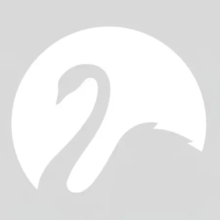 Appartement Der Schwan 8 & 10 - Zentral- Stilvoll