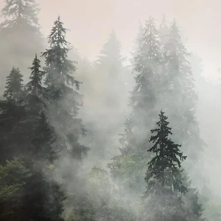 Der Schwan 8 & 10 - Zentral- Stilvoll Düren - Eifel