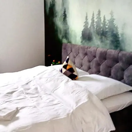 Der Schwan 8 & 10 - Zentral- Stilvoll Düren - Eifel