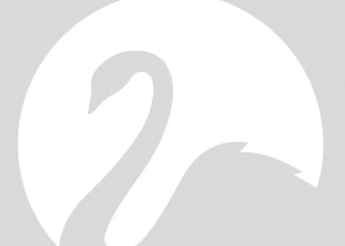 Appartement Der Schwan 8 & 10 - Zentral- Stilvoll