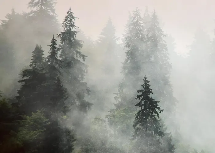 Der Schwan 8 & 10 - Zentral- Stilvoll Düren - Eifel