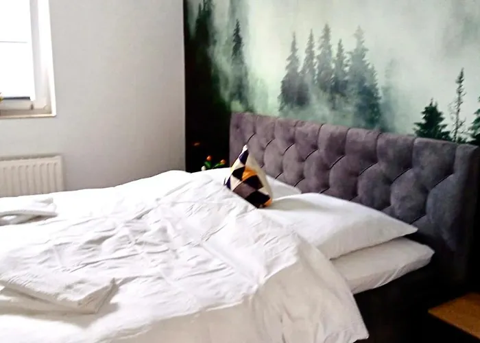 Der Schwan 8 & 10 - Zentral- Stilvoll Düren - Eifel